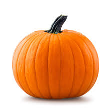 Pumpkin, Assorted Sizes