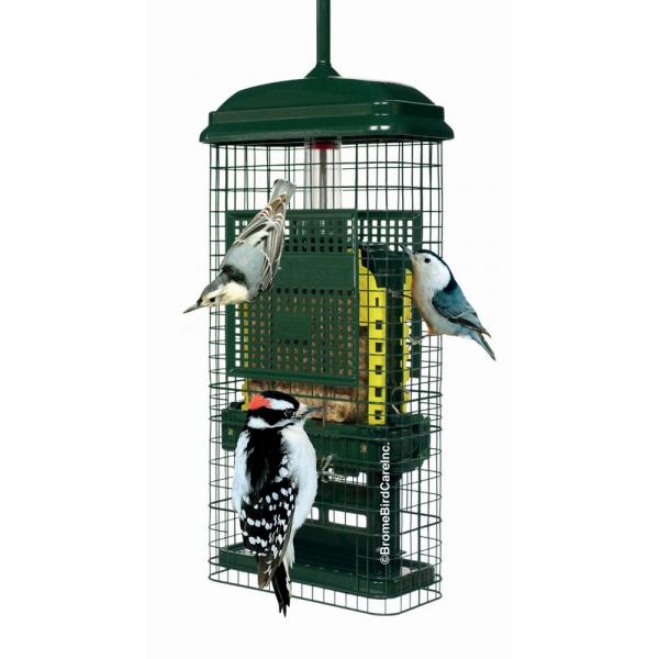 Feeder, Suet, Squirrel Buster