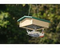 Feeder, Suet, Upside Down