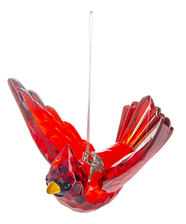 Crystal Expressions Decor, Ganz