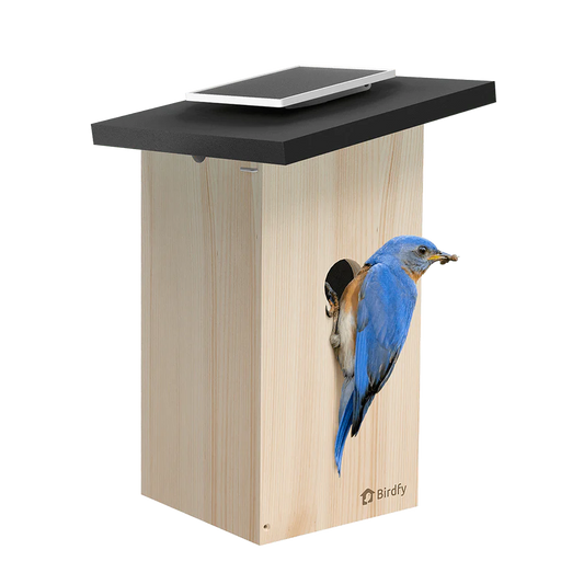 Birdfy Camera Nest Box