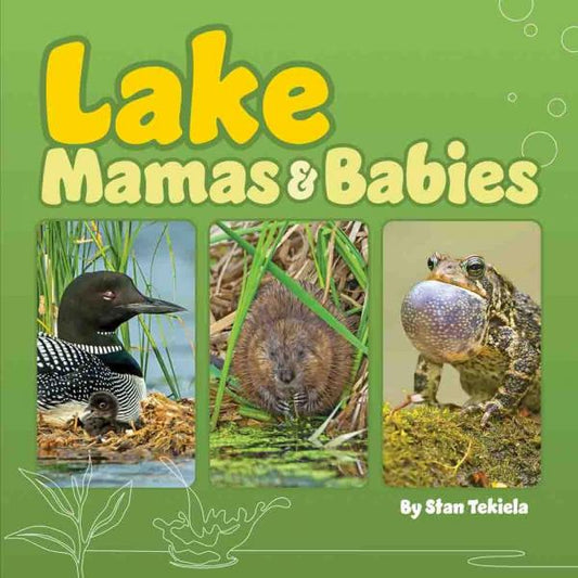 Book, Lake Mamas & Babies